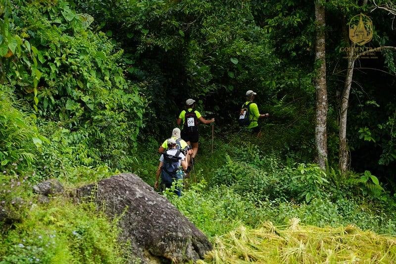 Vietnam Trekking Tours for Groups: The Ultimate Guide to Unforgettable Adventures